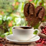 coffee-drip_173387-4584