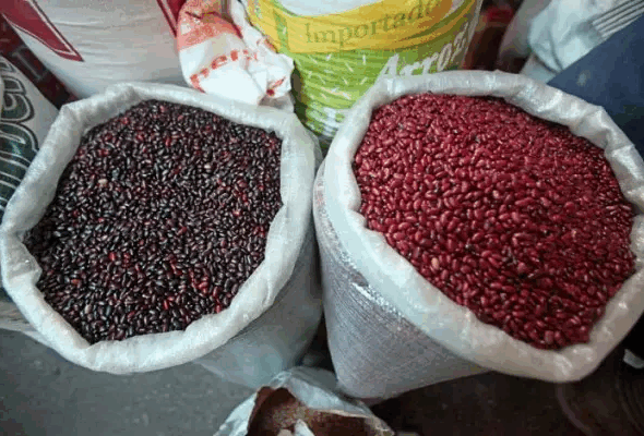 Fortalecimiento de la economía agrícola a través del aumento en granos básicos