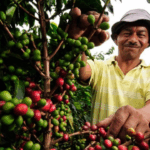 La Central de Abastos promueve precios accesibles para apoyar la economía familiar en Navidad