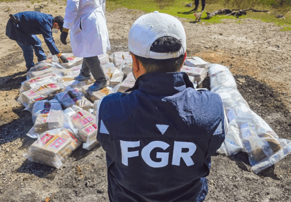 Golpe millonario al narcotráfico tras destrucción de 450 kilos de cocaín
