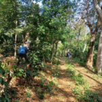 Delegación de empresas estadounidenses apoyaría proyectos de modernización en El Salvador