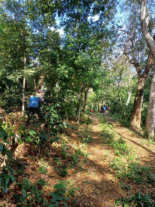 MAG amplía programa agrícola e incorpora al sector cafetalero