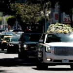 León marino llega a la costa y es protegido por autoridades