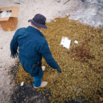 Golpe al narcotráfico: destruyen droga incautada