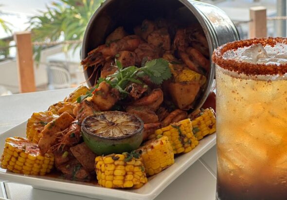 WhatsApp Image 2026-03-11 at 4.24.43 PM