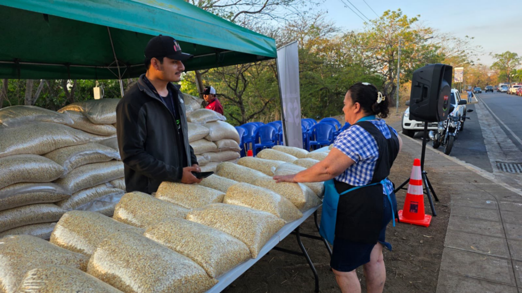Gobierno asegura que hay suficiente maíz blanco para el país