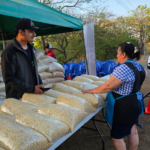 Gobierno asegura que hay suficiente maíz blanco para el país