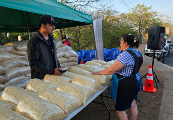 Gobierno asegura que hay suficiente maíz blanco para el país