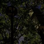 Empresario indio propone reubicar hipopótamos colombianos