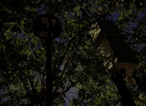 Denuncia ciudadana: piden restablecer iluminación en el Parque Bicentenario