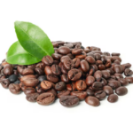 Café salvadoreño muestra fuerte recuperación en exportaciones