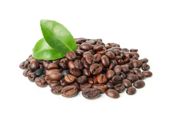 Café salvadoreño muestra fuerte recuperación en exportaciones