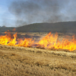 Gobierno prohíbe quemas por riesgo de incendios
