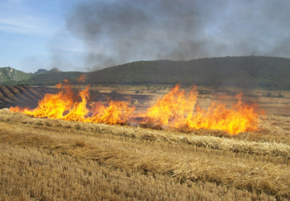 Gobierno prohíbe quemas por riesgo de incendios