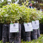 Ataque armado deja seis muertos en cevichería de Guatemala, entre ellas un menor