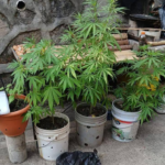 Grupo Campestre recibe la certificación bajo Ley de Fomento a la Expansión de Inversiones y anuncia inversión de US$82.8 millones