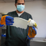 El Sistema Fedecrédito continúa reafirmando su apoyo al desarrollo del fútbol nacional