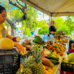 Nightography sin límites: Cómo Samsung transformó la oscuridad en el escenario ideal para la creatividad