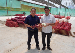 Walmart impulsa el desarrollo agrícola en Chalatenango a través del programa Tierra Fértil