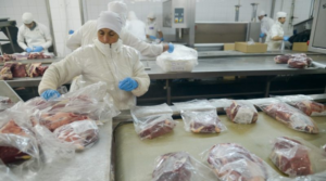 MAG ampliará facultades para certificar productos cárnicos, lácteos y pesqueros tras reformas aprobadas