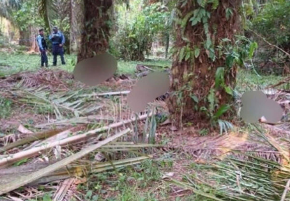 Autoridades investigan ataque armado que dejó múltiples víctimas en Trujillo, Honduras