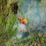 Incendio en maleza moviliza a Bomberos en carretera hacia Comalapa