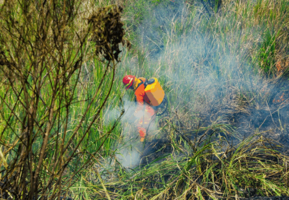 Incendio en maleza moviliza a Bomberos en carretera hacia Comalapa