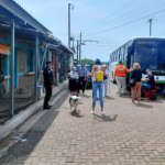 Más de 900 turistas llegan a El Salvador a bordo del crucero Volendam