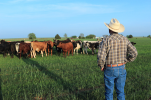 PROGRESAR Rural buscará fortalecer la economía y la seguridad alimentaria en comunidades rurales