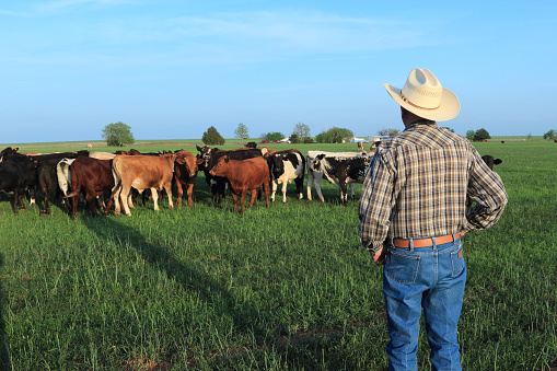 PROGRESAR Rural buscará fortalecer la economía y la seguridad alimentaria en comunidades rurales