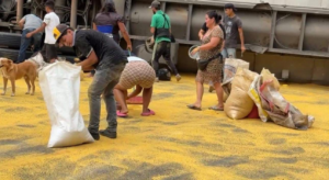 Decenas de personas aprovecharon carga derramada tras volcadura de rastra en Honduras