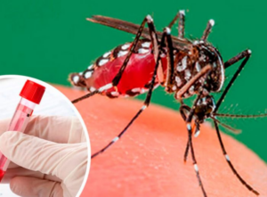 Salud reporta 21 casos confirmados de dengue y una muerte en lo que va de 2026