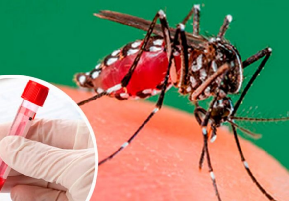 Ministerio de Salud reporta 21 casos confirmados de dengue y una muerte en lo que va de 2026