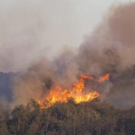 Evacuaciones y decenas de afectados deja incendio forestal en Andalucía