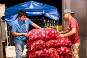 Tomates y papas muestran diferencias de precio entre la CDA Usulután y otros mercados