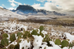 Temporal de nieve golpea a comunidades, carreteras y actividad ganadera en Bolivia