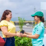 Cuatro puntos del país serán habilitados para la entrega de árboles y plantas de MOP Verde
