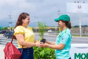 Cuatro puntos del país serán habilitados para la entrega de árboles y plantas de MOP Verde