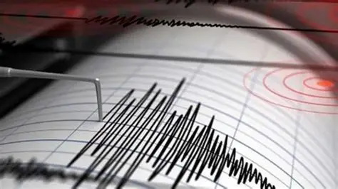 Bomberos recomienda extremar precauciones al conducir durante un sismo