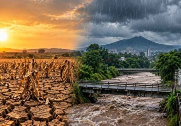Asamblea Legislativa declara emergencia nacional por sequía asociada a El Niño