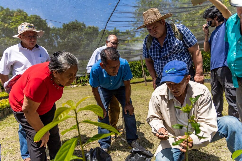 Reformas permitirán al CENTA crear reservas estratégicas y ampliar apoyo a productores