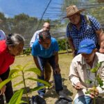 Asamblea Legislativa declara emergencia nacional por sequía asociada a El Niño