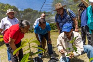 Reformas permitirán al CENTA crear reservas estratégicas y ampliar apoyo a productores