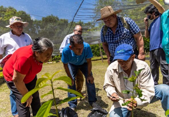 Reformas permitirán al CENTA crear reservas estratégicas y ampliar apoyo a productores