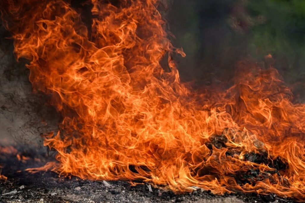 Destruyen droga valorada en más de US$52,000 tras 48 incautaciones