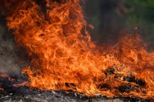 Destruyen droga valorada en más de US$52,000 tras 48 incautaciones