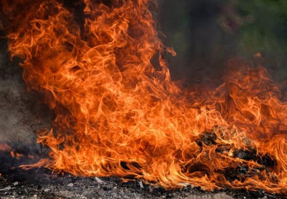 Destruyen droga valorada en más de US$52,000 tras 48 incautaciones