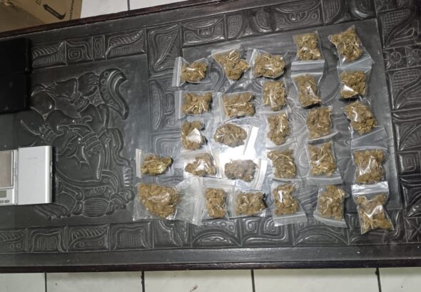 Incautan cocaína, marihuana y otros objetos durante allanamiento en Santa Tecla