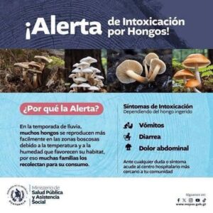 Intoxicación por hongos silvestres deja dos fallecidas en una familia de Palencia, Guatemala
